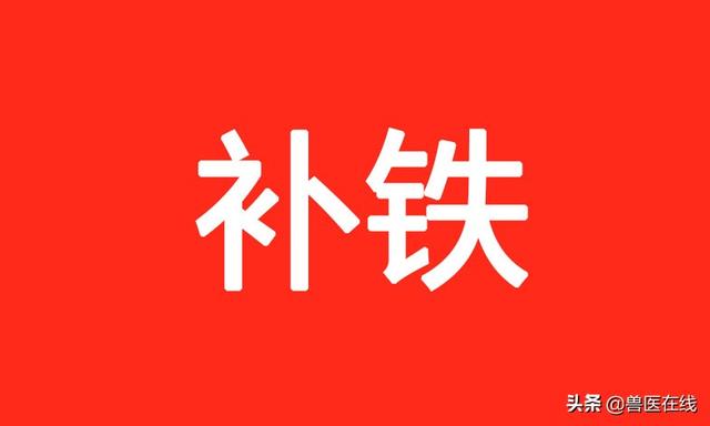 仔猪补铁居然中毒，怎么办？