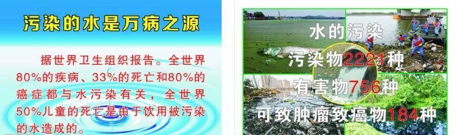 世界补硒主席