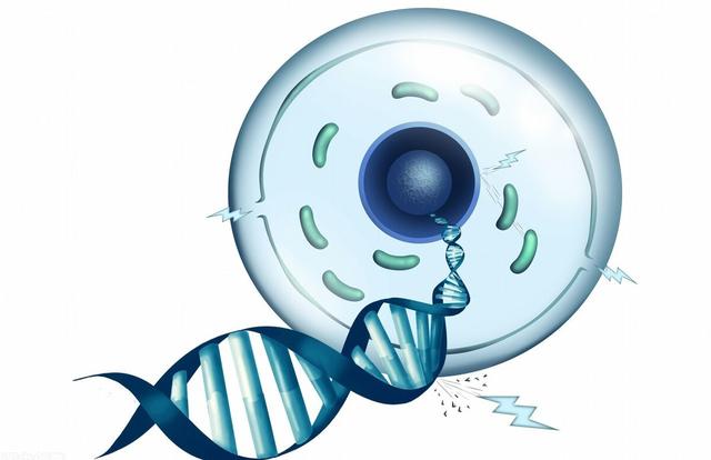 人体补硒元素(人体补元素硒怎么补)-硒宝网