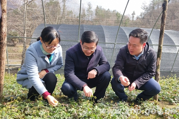 补硒中医医药