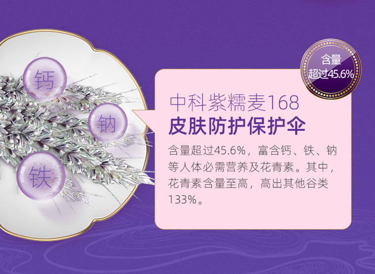 补硒食谱薏米