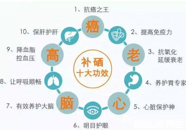 硒的作用和补硒的好处，不仅抗衰老还能有效抗癌(6大功效)