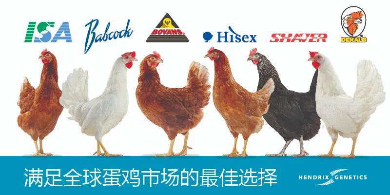 补硒含量单位