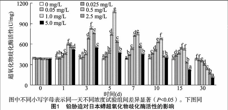 补硒?;つ行裕行圆贡;の杏寐穑?硒宝网