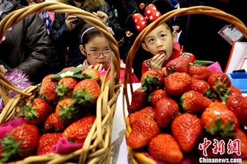 草莓补硒或可抗癌防衰老富硒产品成发展趋势