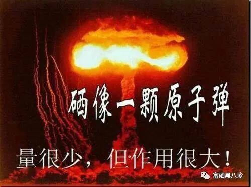 中国补硒大会