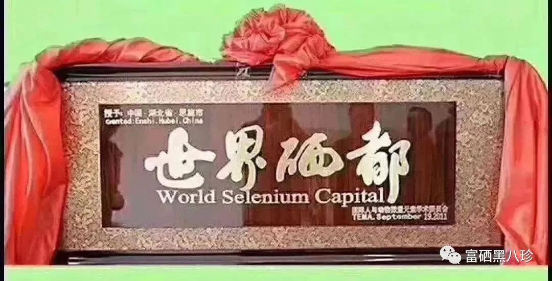 中国补硒大会