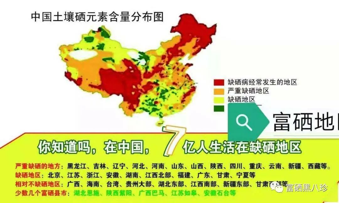 中国补硒大会