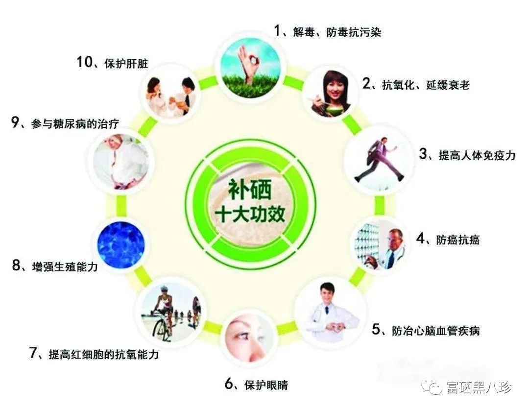 中国补硒大会