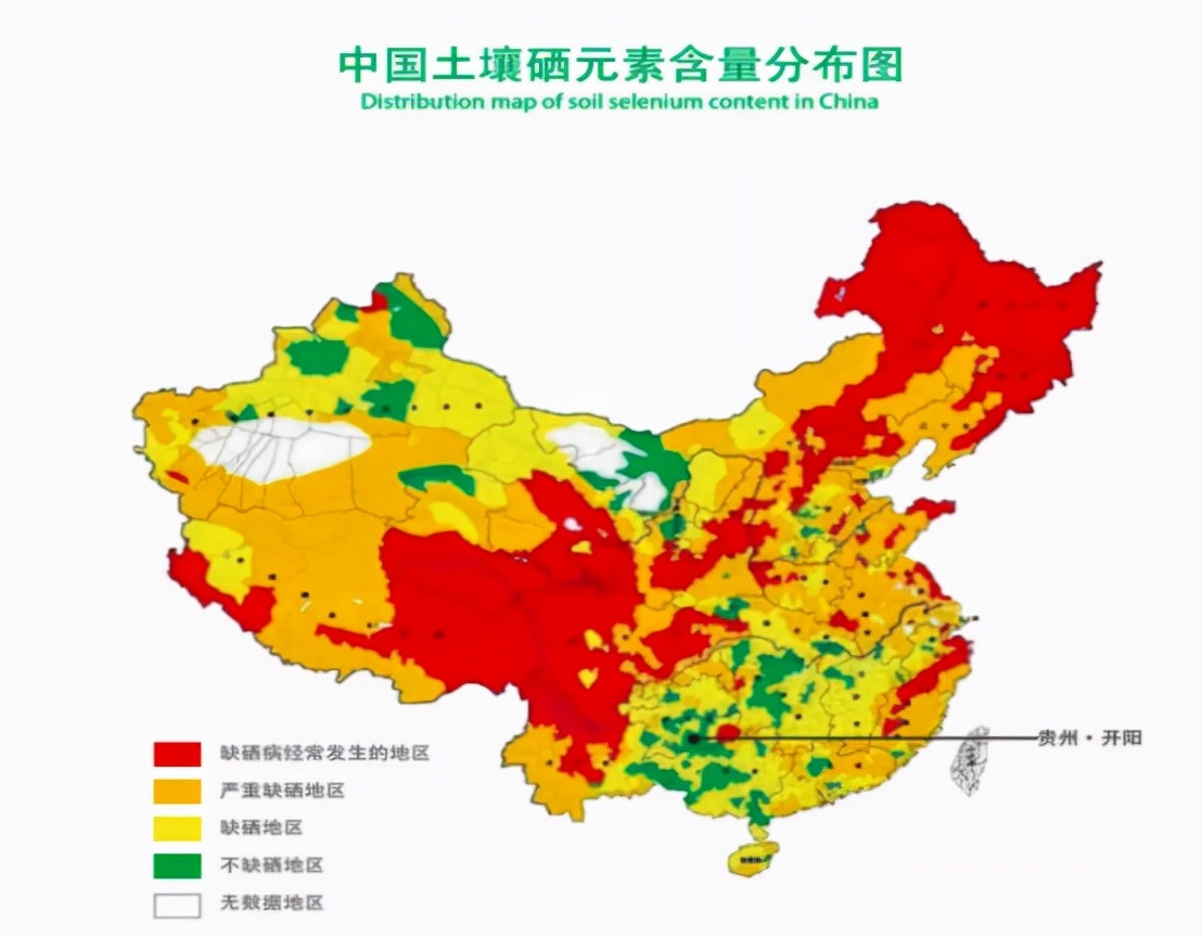 硒是抵抗癌症、提高免疫力的必需元素！吃哪些食物能补充？告诉您