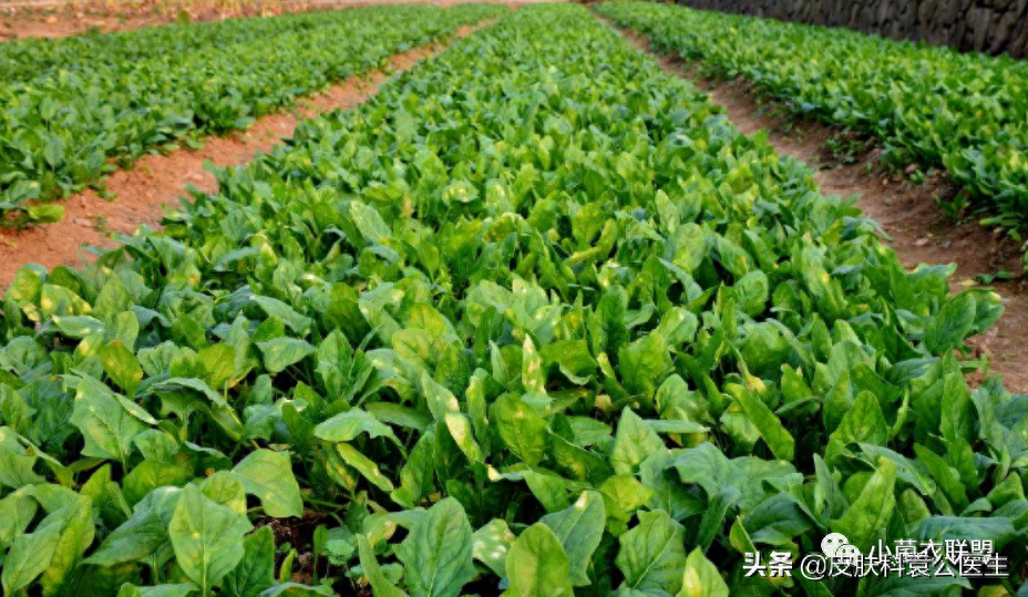 皮肤怎样补硒
