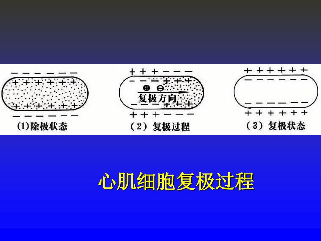 最新补硒机制