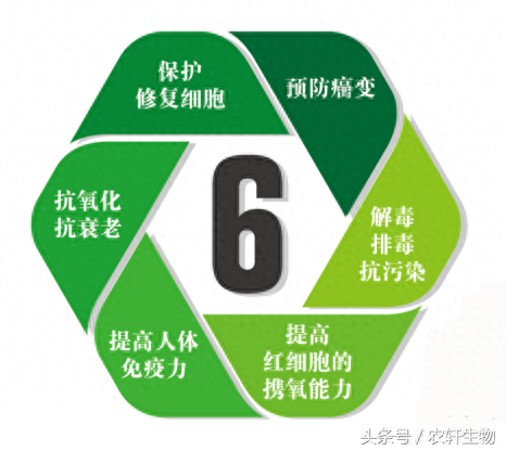 补硒多的危害