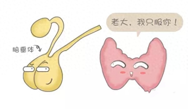 精神疾病补硒