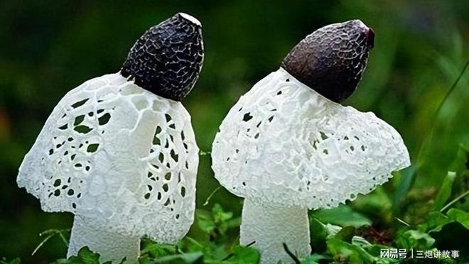 胃癌补硒的药