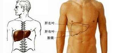 补硒皮肤过敏(过敏补皮肤硒可以吗)-硒宝网