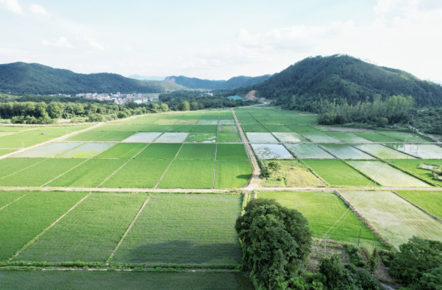 富硒奖补方案