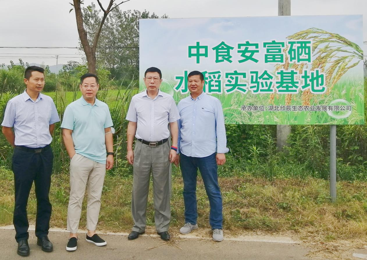 富硒奖补方案