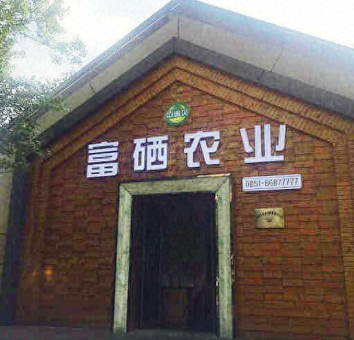 球蛋白高补硒