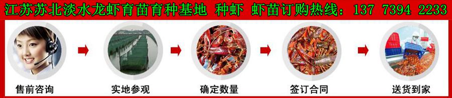 母牛用补硒吗