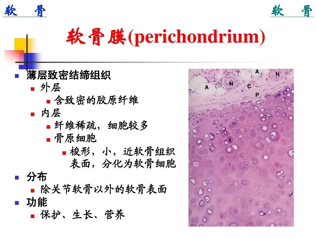 大骨节病补硒(补硒治疗大骨节?。?硒宝网