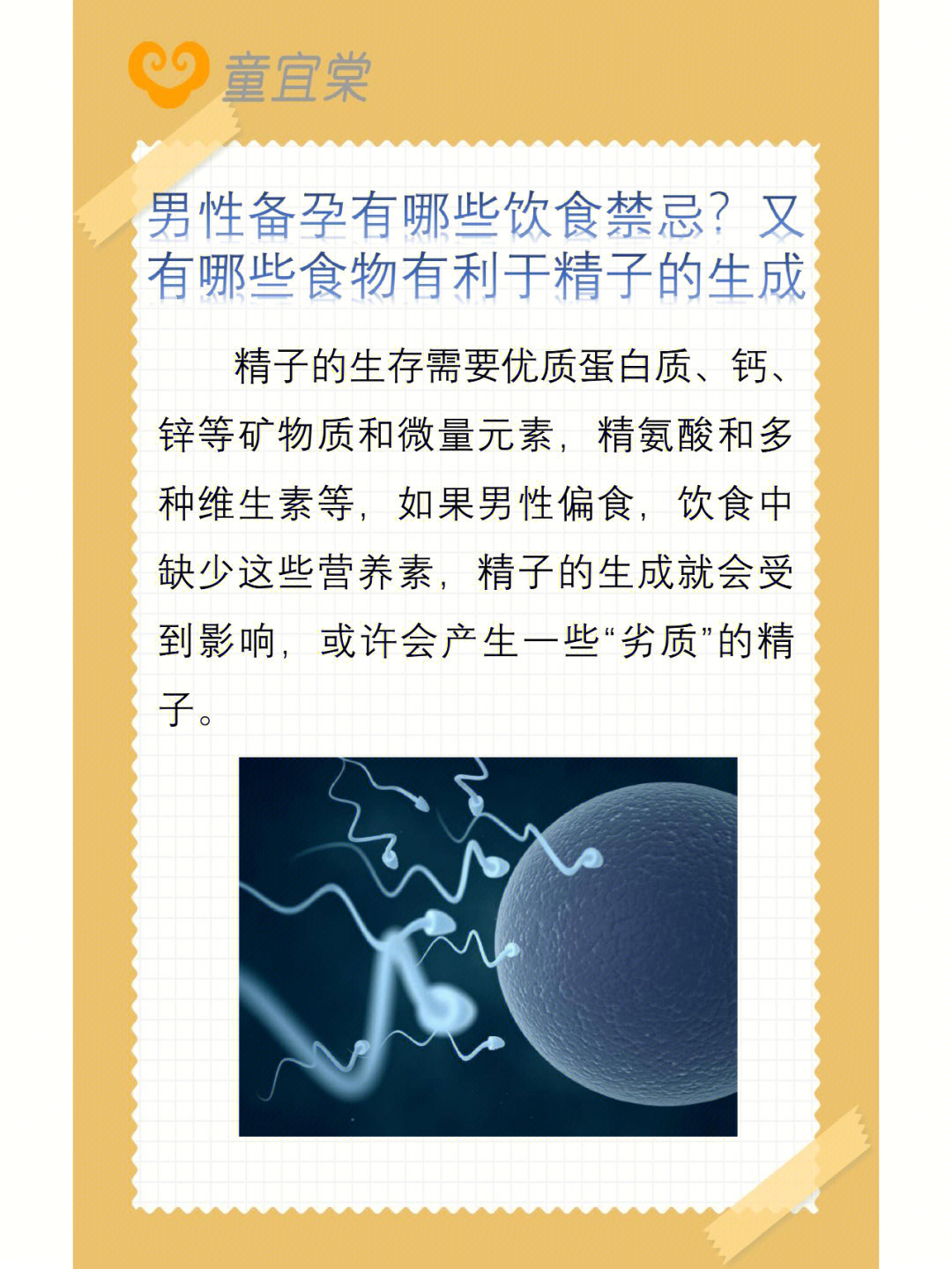 备孕男性补硒