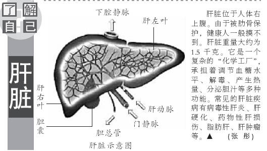补硒后红色尿