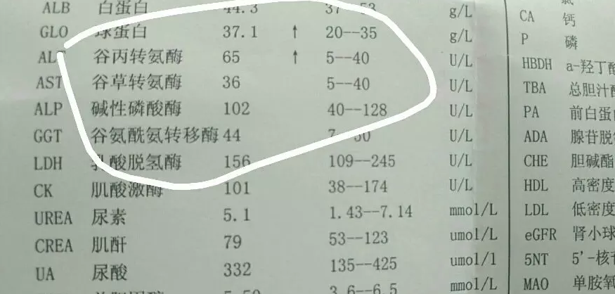 怎么补硒护肝