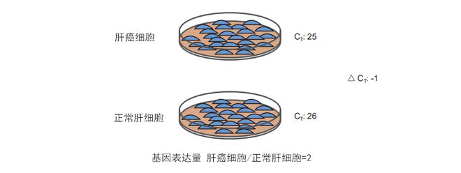 便秘能补硒吗