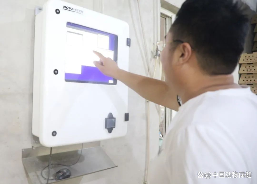小鸡能补硒吗(补硒能预防什么疾?。?硒宝网