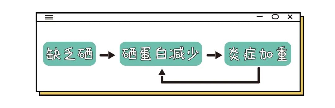 结肠炎 补硒
