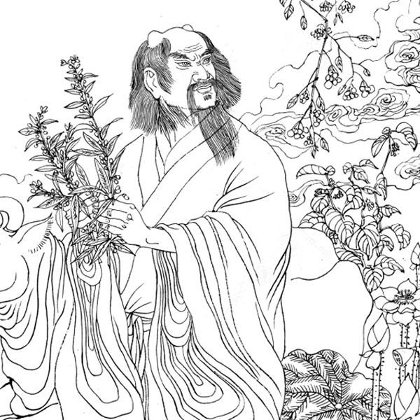 流传的药草，被当作清凉茶，却不知能治疗多种癌症