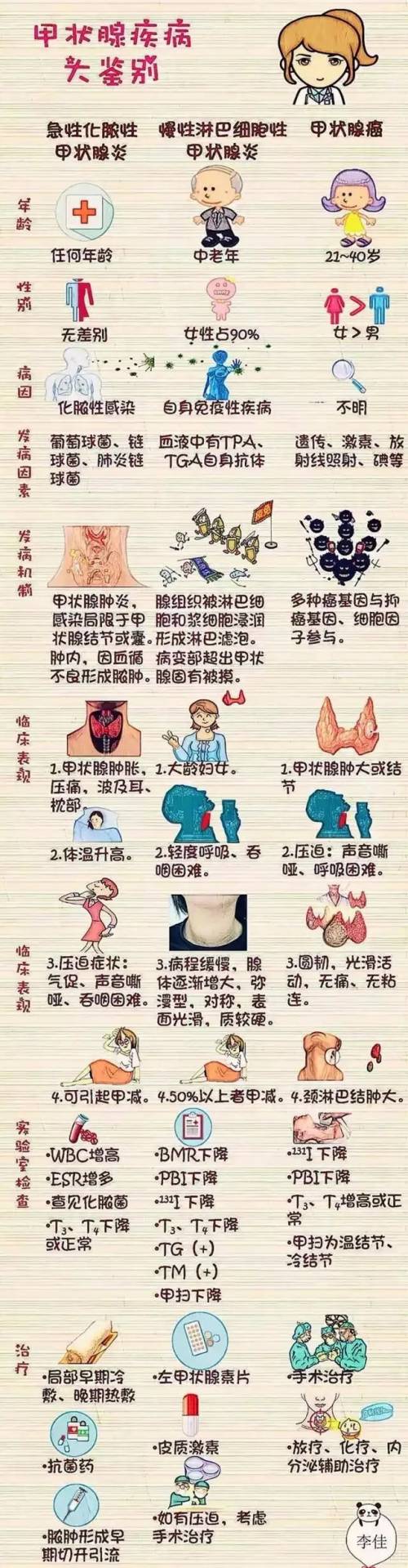 甲减补硒食物