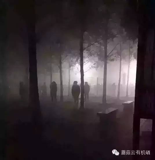 补硒的蔬菜表