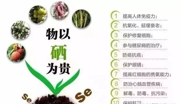 补硒健康歌词