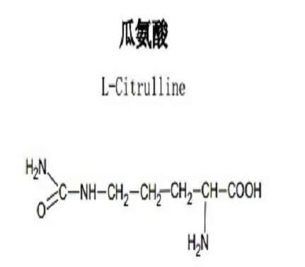 硒补剂精氨酸