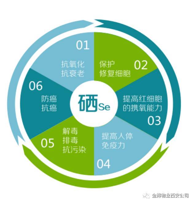 吃猪腰补硒吗