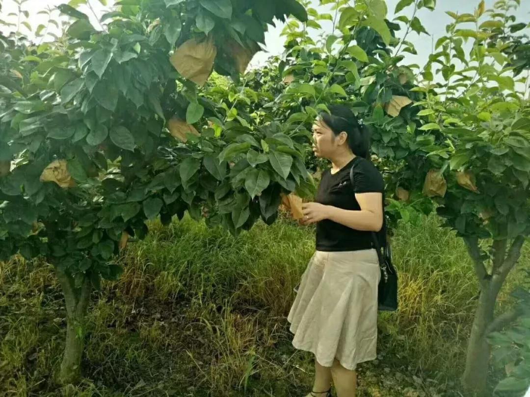 梨可以补硒吗