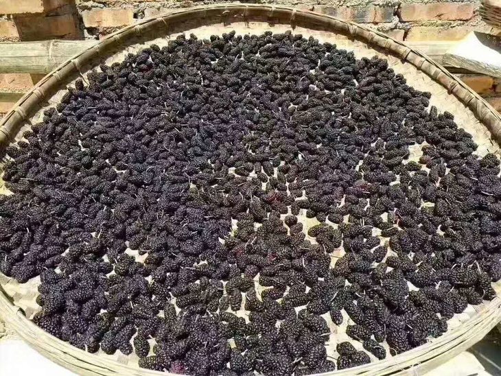 干桑葚能补硒