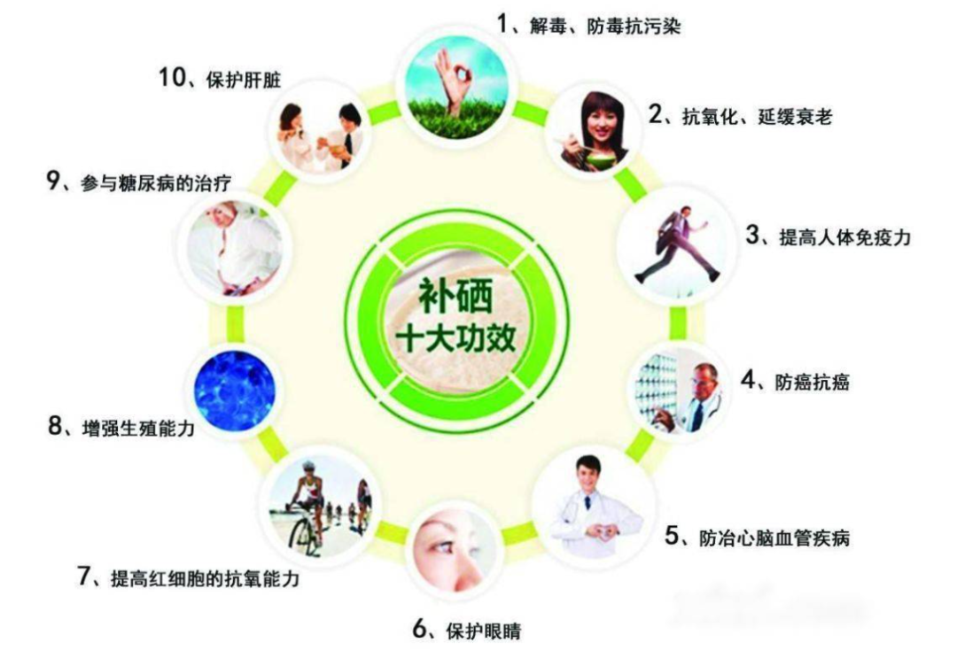 如何保锌补硒