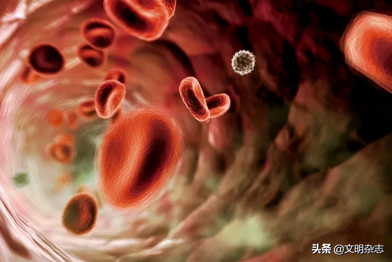 甲状腺肿补硒