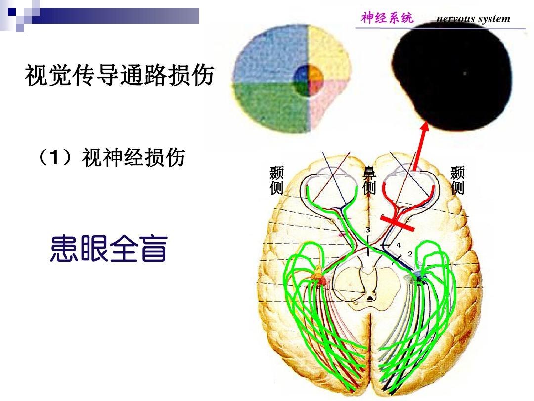 补硒治精神病(硒与精神病的作用)-硒宝网