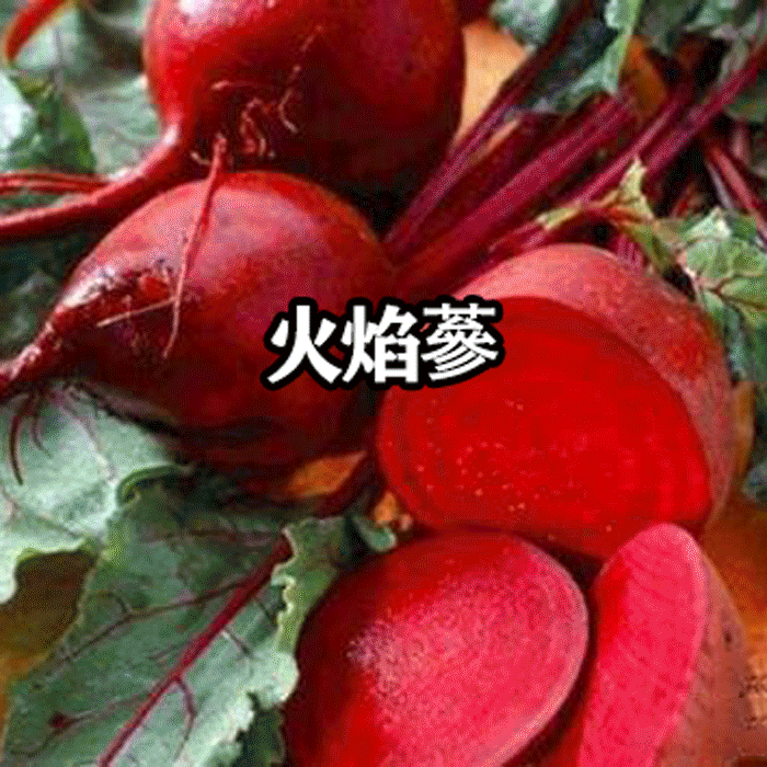 每天补一粒硒