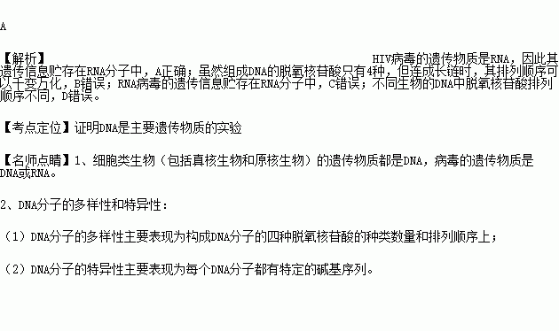 补硒杀艾滋病