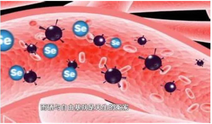 什么人补硒好