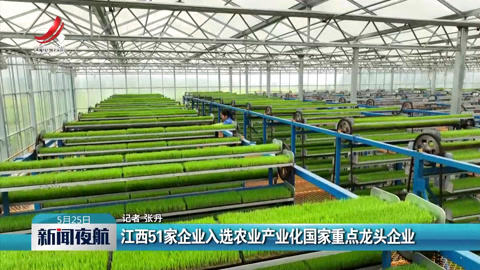 富硒麦芽产品