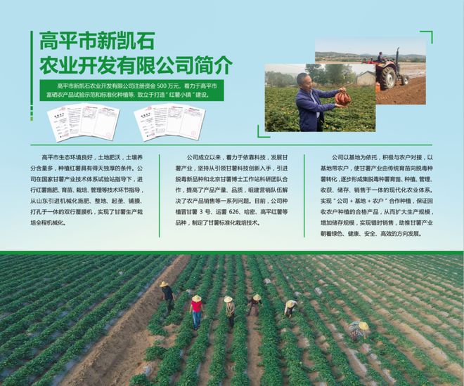 投资富硒产品(富硒系列产品)-硒宝网