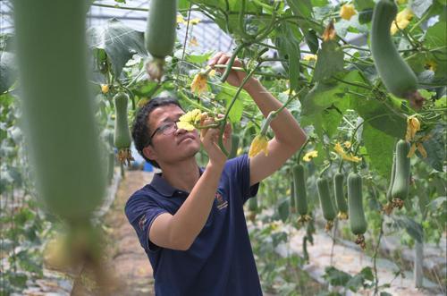 富硒产品推荐