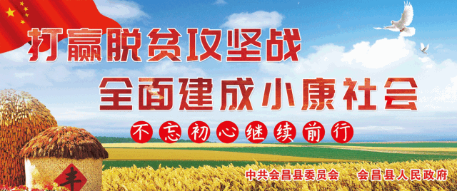 莲雨富硒产品