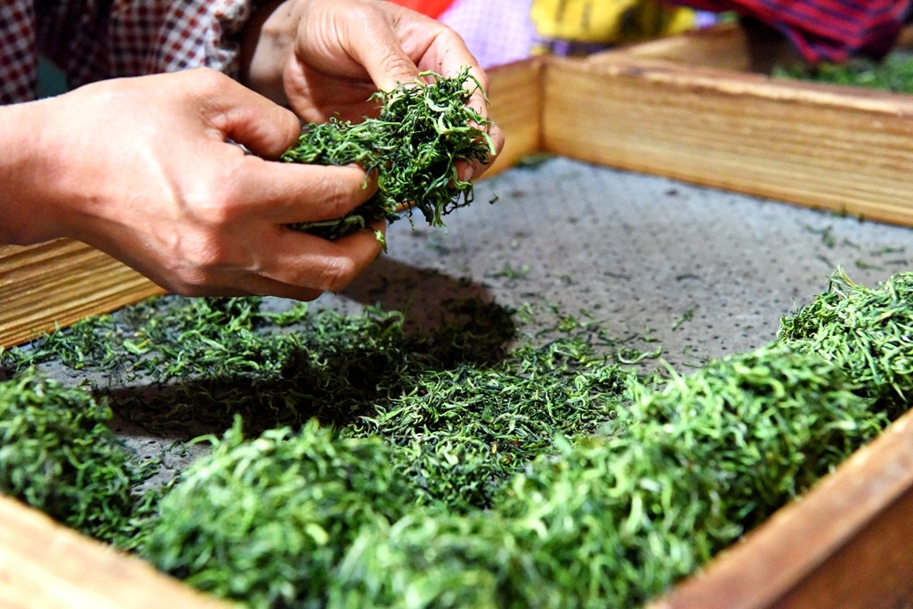 江津 富硒茶